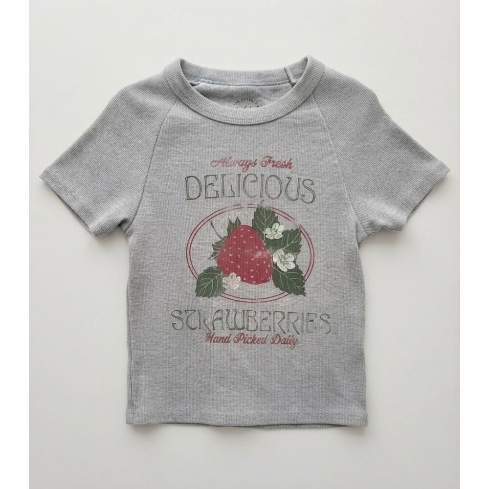 Pacsun PS/LA size XS Womens Gray Ribbed Delicious Strawberries Graphic Tee